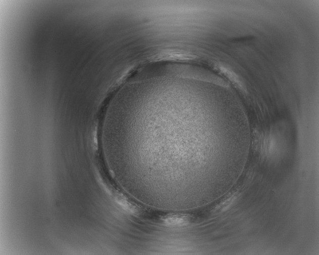 X0000070390358200606161416