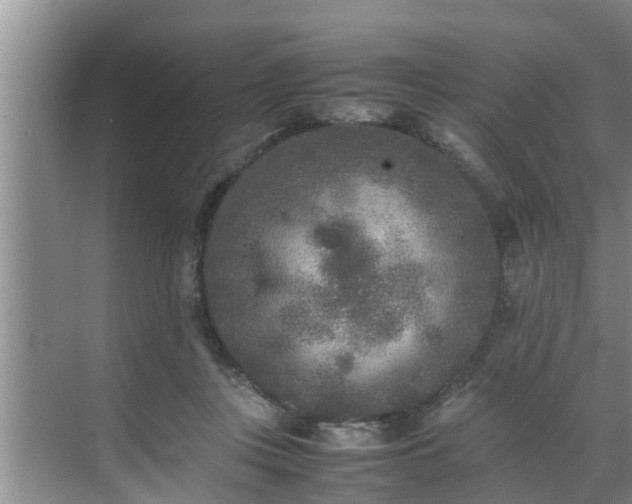 X0000070390359200606161416