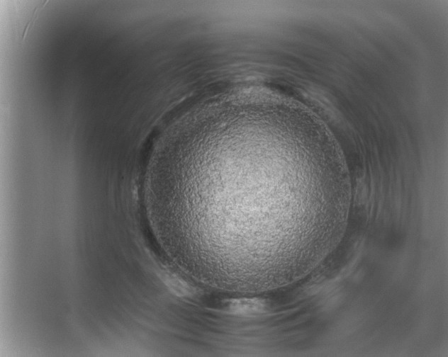 X0000070390363200606161416