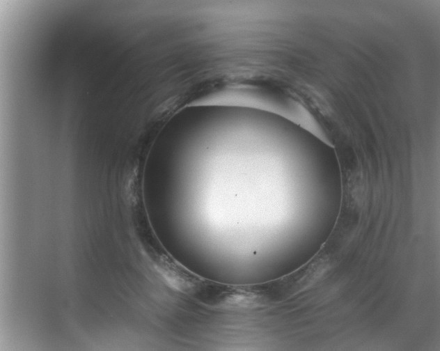 X0000070390364200606161416