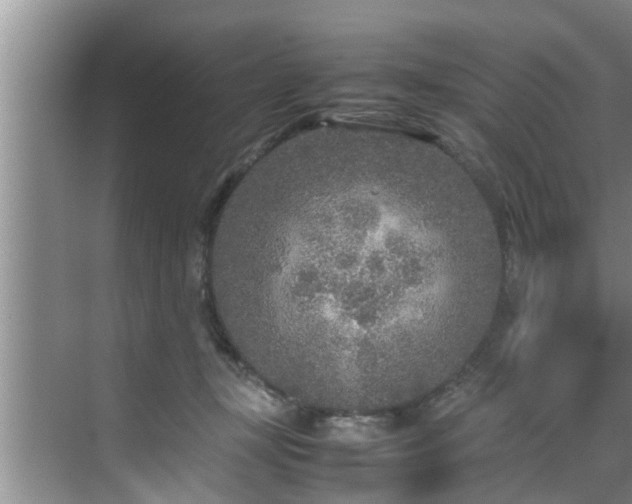 X0000070390367200606161416