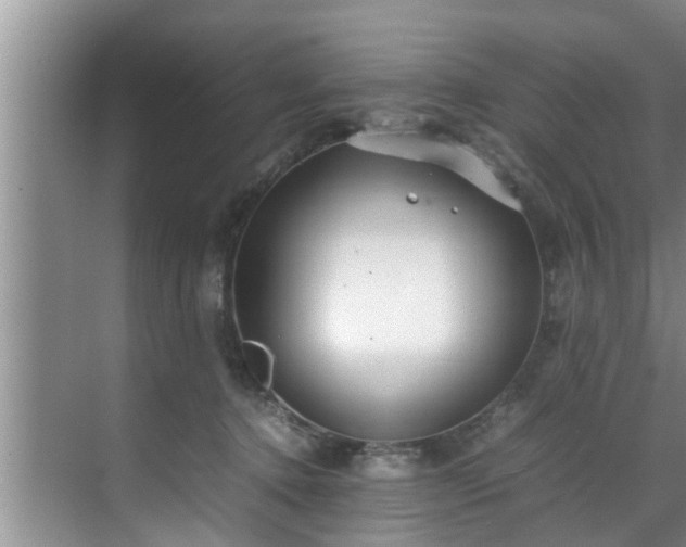 X0000070390368200606161416