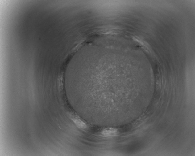 X0000070390369200606161416