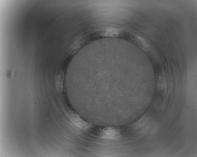 X0000070390370200606161416