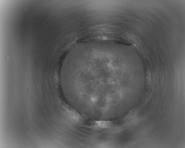 X0000070390371200606161416