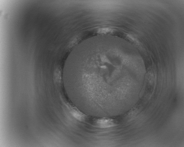 X0000070390375200606161416