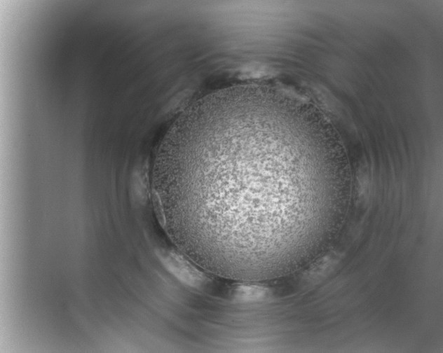 X0000070390376200606161416