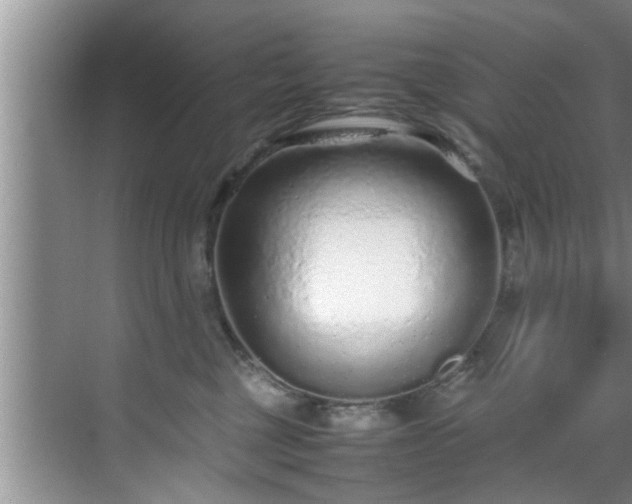 X0000070390377200606161416