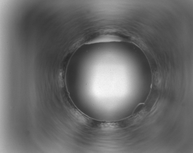 X0000070390378200606161416