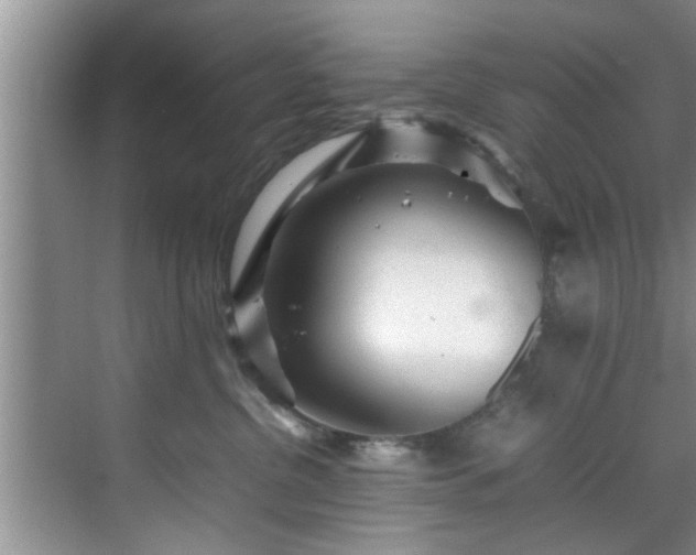 X0000070390380200606161416