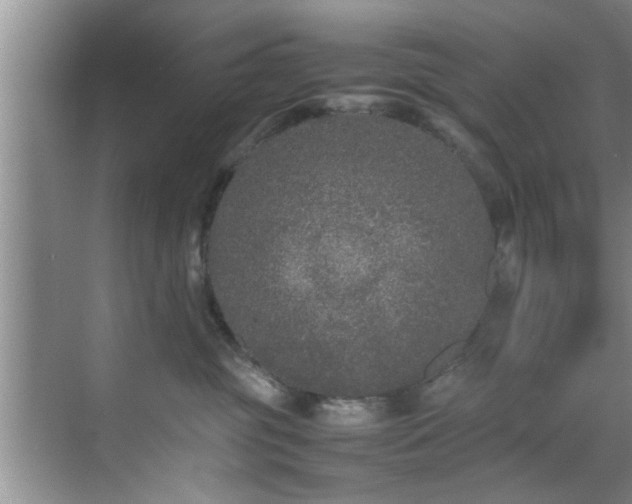 X0000070390381200606161416