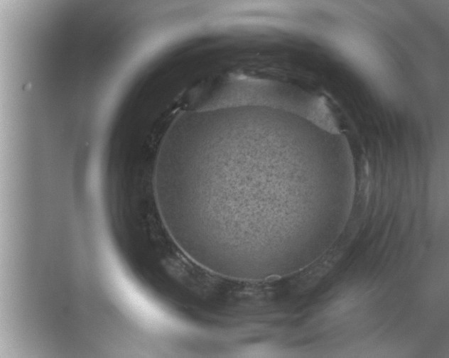 X0000070390383200606161416