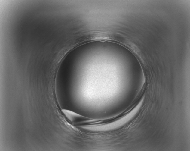 X0000070390385200606161415