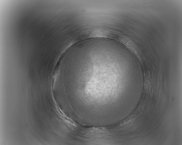 X0000070390386200606161415