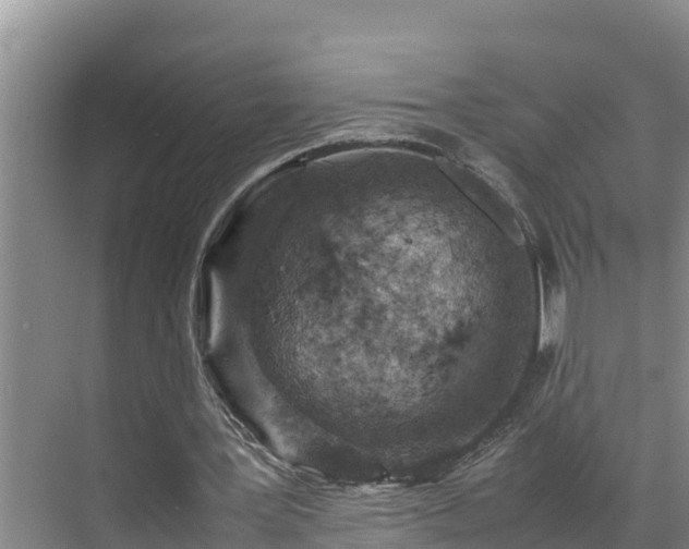 X0000070390387200606161415