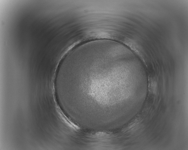 X0000070390390200606161415