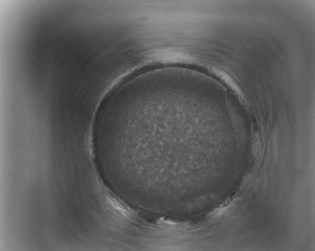 X0000070390391200606161415