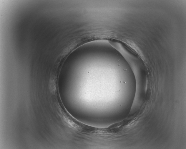 X0000070390393200606161415