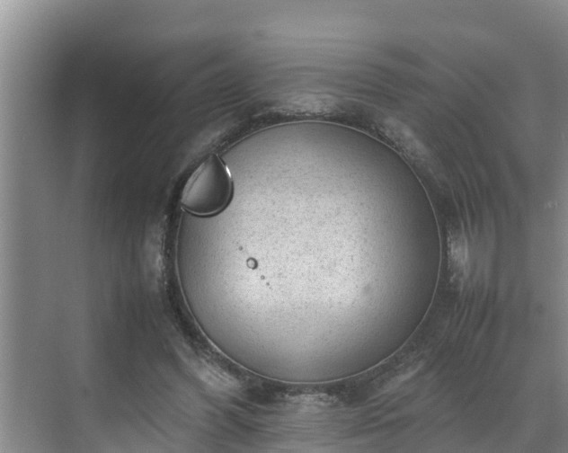 X0000070390396200606161415