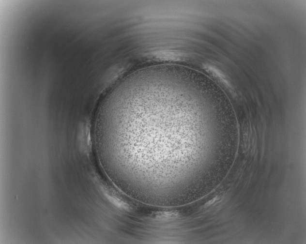 X0000070390398200606161415