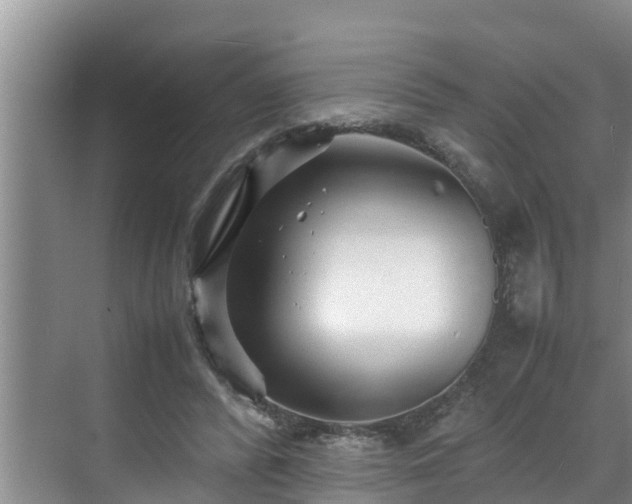 X0000070390400200606161415