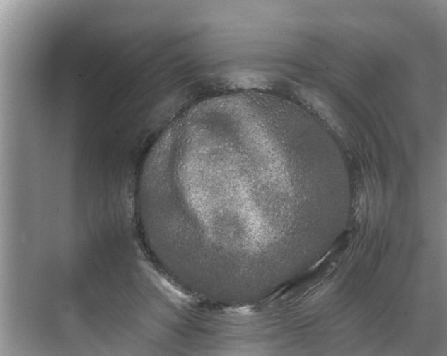 X0000070390402200606161415