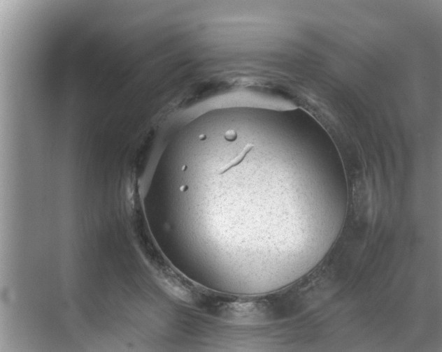 X0000070390406200606161415