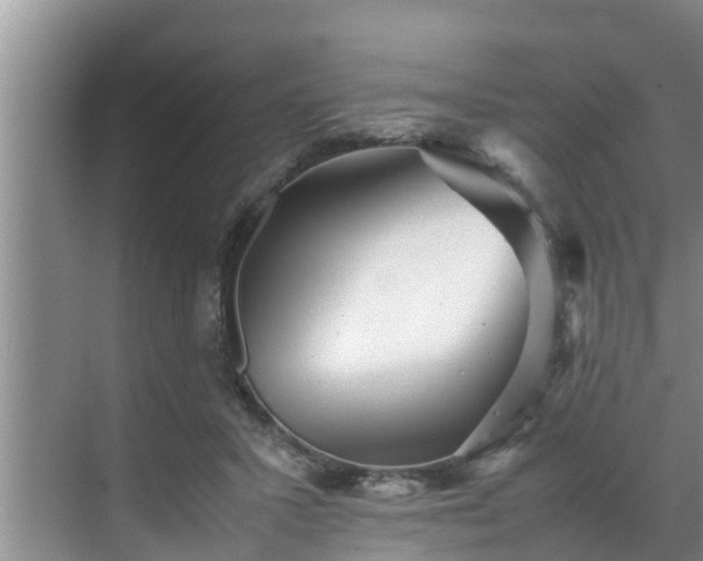 X0000070390407200606161415