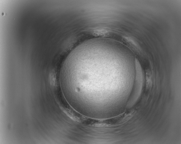 X0000070390408200606161415