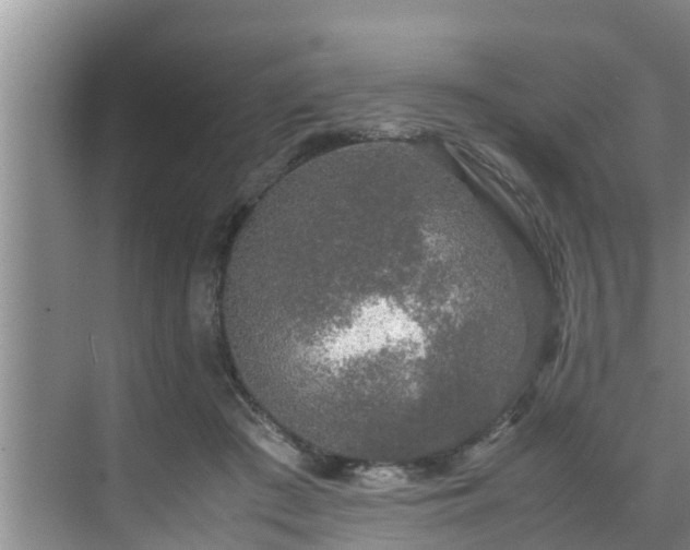 X0000070390409200606161415