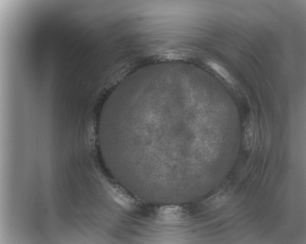 X0000070390410200606161415