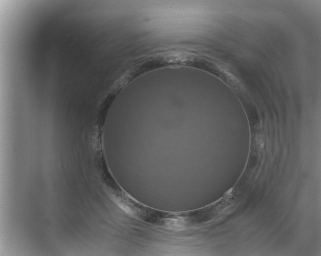 X0000070390411200606161415