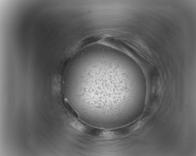 X0000070390413200606161415