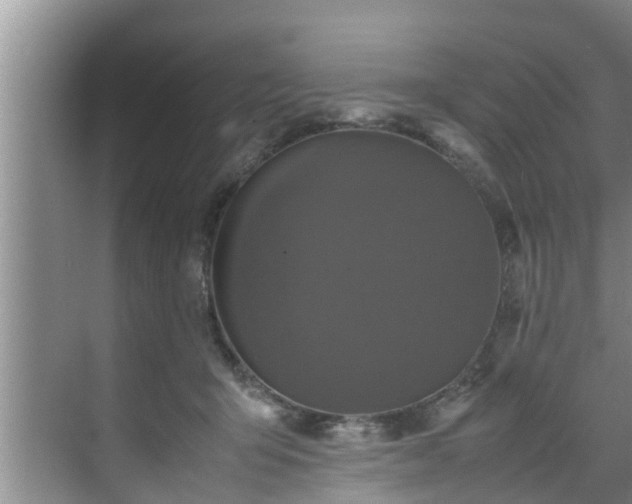 X0000070390415200606161415