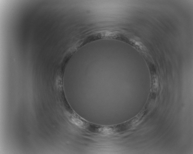 X0000070390419200606161415