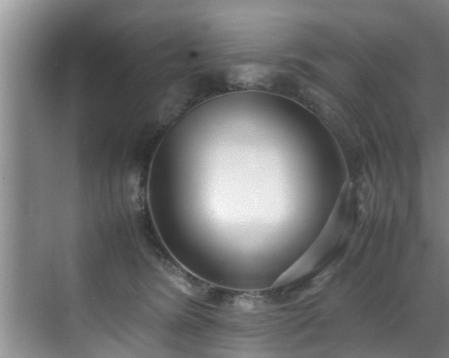 X0000070390420200606161415