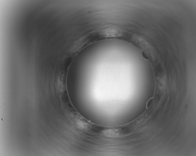 X0000070390422200606161415