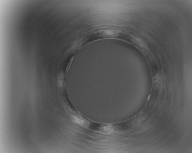 X0000070390423200606161415