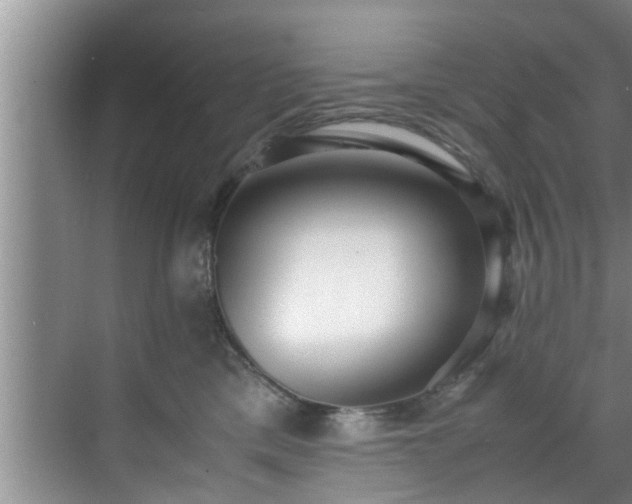 X0000070390425200606161415