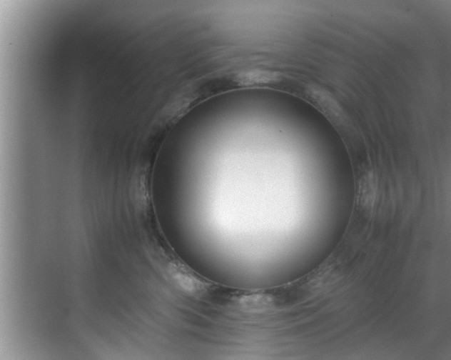 X0000070390426200606161415