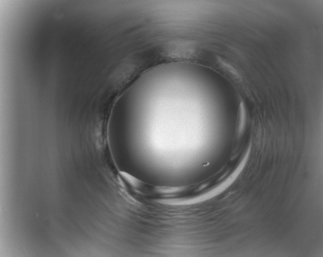 X0000070390428200606161415