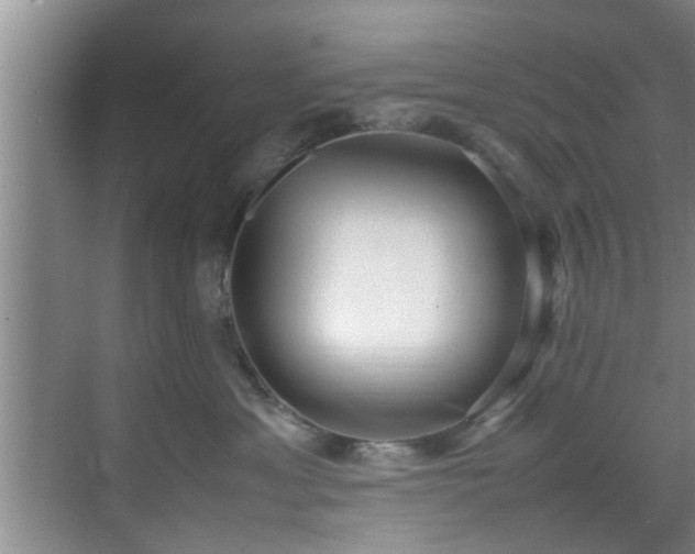 X0000070390429200606161415