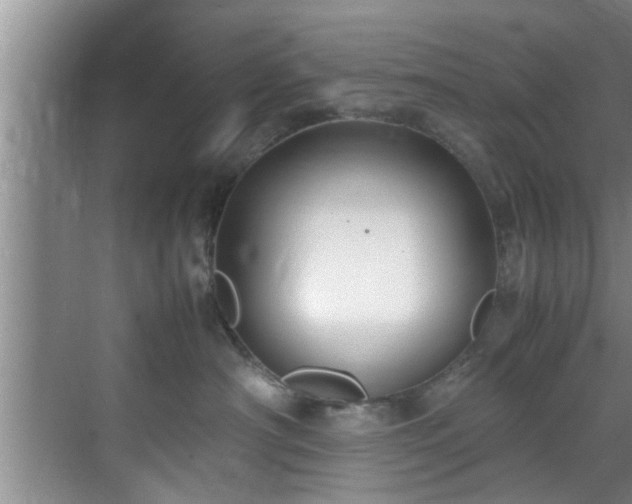 X0000070390430200606161415