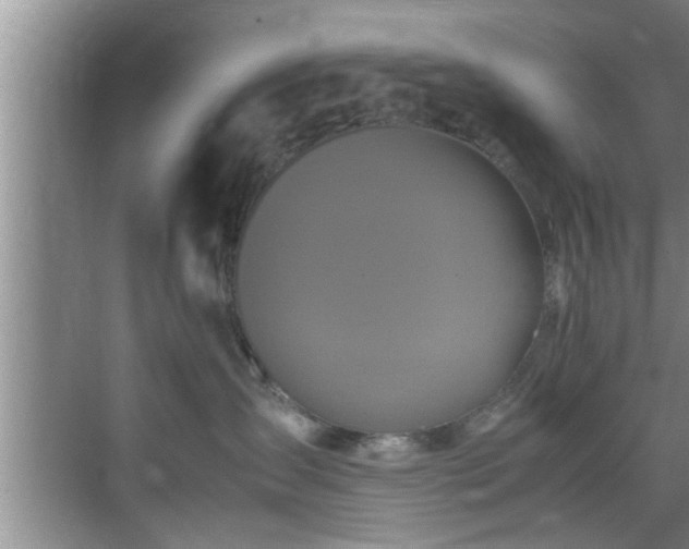 X0000070390431200606161415