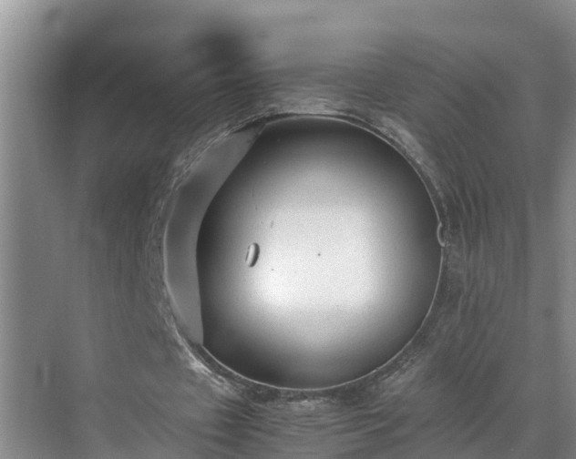 X0000070390433200606161414