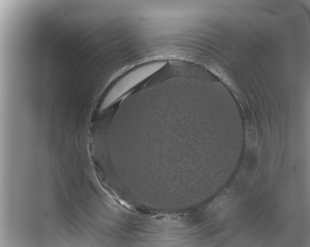 X0000070390434200606161414