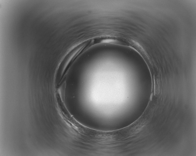 X0000070390435200606161414