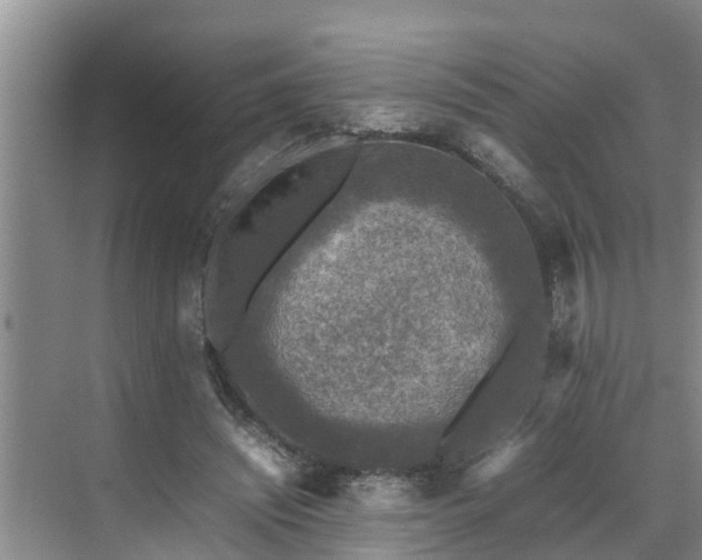 X0000070390444200606161414