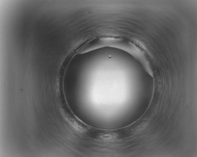 X0000070390447200606161414