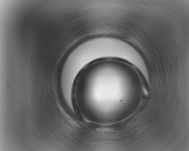 X0000070390448200606161414